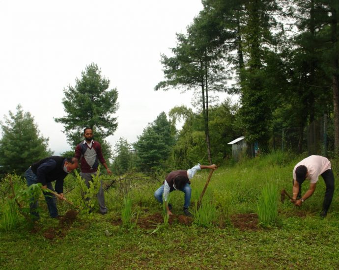 Horticulture sales centers are being made available at affordable prices