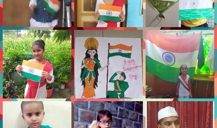 Independence Day celebrated online at bl public school solan