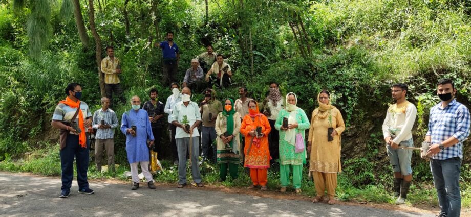 Plantation_Drive_at_G.P._Palog_Block___Forest_Division_Kunihar