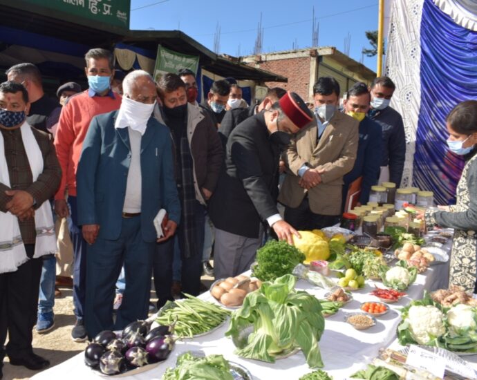 Objective of natural farming to provide safe and chemical-free food grains. Saizal