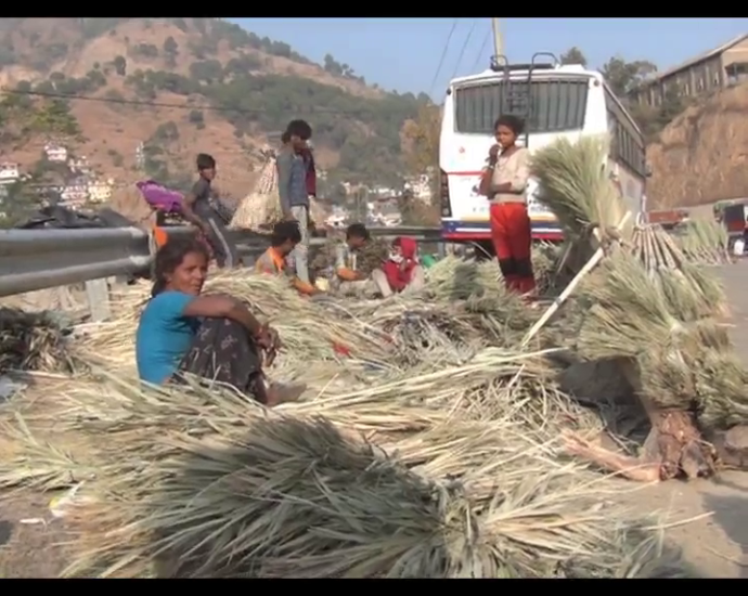 Rajasthani Khajuri broom made of Solan residents first choice