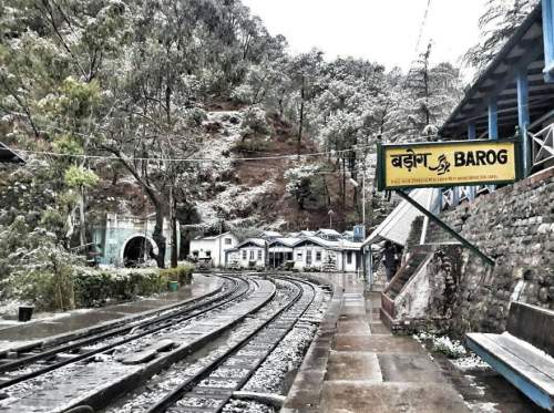 Customers started coming to Solan's empty hotels after snowfall