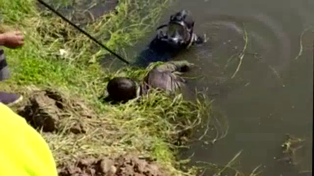 A team of divers rescued a youth immersed in the river Bald for three days.