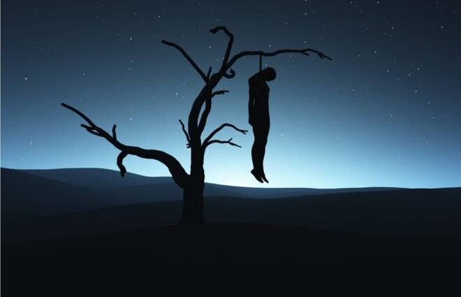 Body found hanging from tree in Masayana forest of Hamirpur