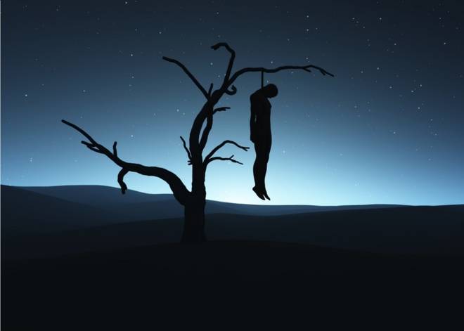 Body found hanging from tree in Masayana forest of Hamirpur