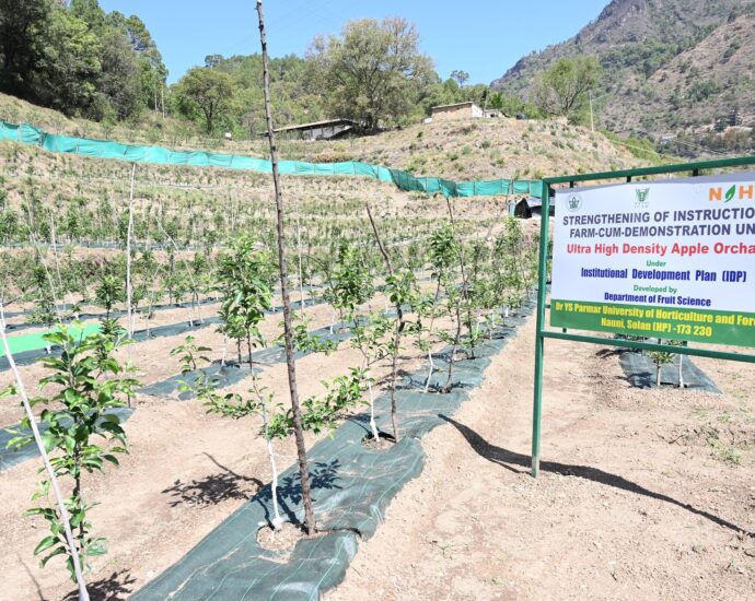High-density apple orchard inaugurated, Students and farmers to benefit