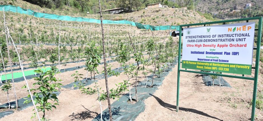 High-density apple orchard inaugurated, Students and farmers to benefit