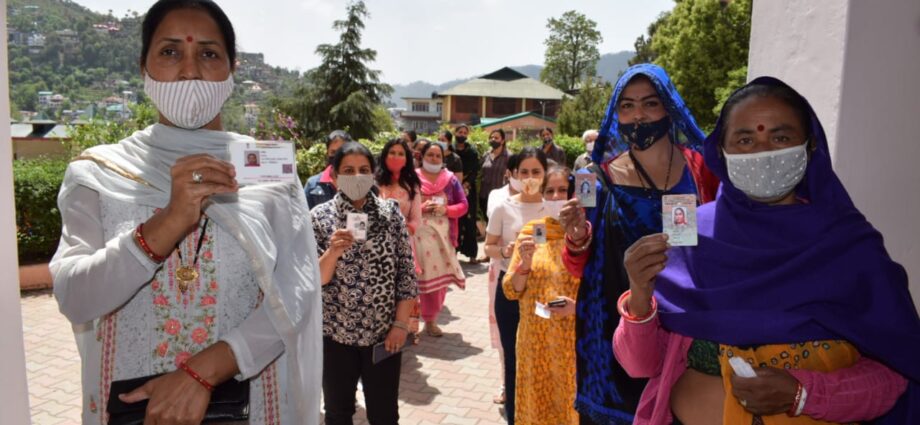 62.25 percent voting in Municipal Corporation Solan