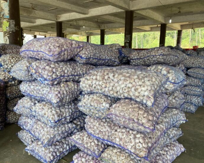 APMC Solan is ensuring better prices for farmers' produce by associating with e-Naam