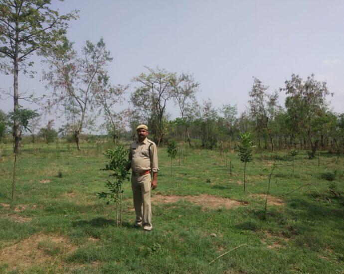 Illegal encroachments removed from 889 bighas of forest land in last 02 years