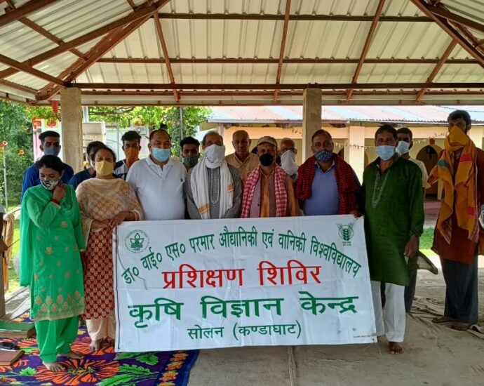 Scientists of Krishi Vigyan Kendra did clinical visit