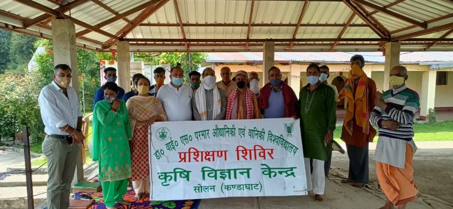 Scientists of Krishi Vigyan Kendra did clinical visit