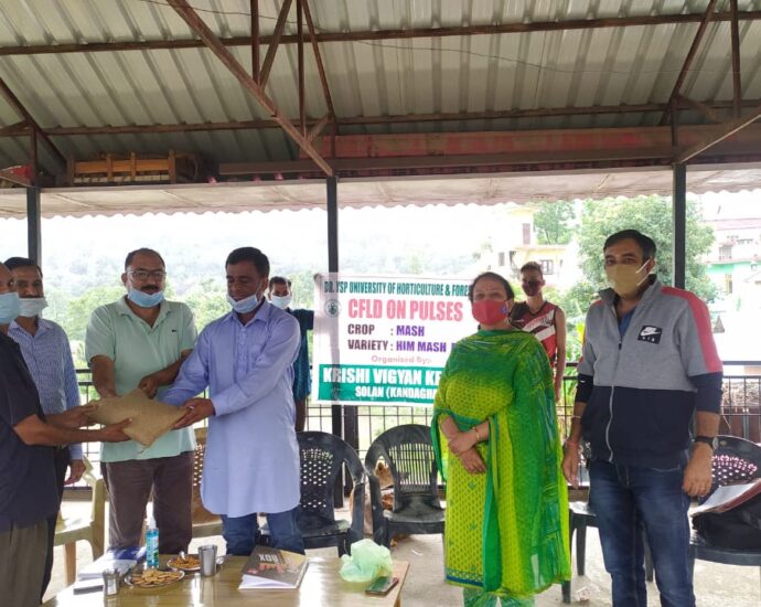 Front line demonstration on pulses and oilseed crops by Krishi Vigyan Kendra Solan