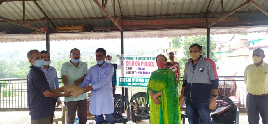 Front line demonstration on pulses and oilseed crops by Krishi Vigyan Kendra Solan