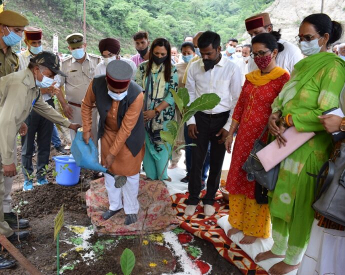 Banyan plant was planted for the first time through Japanese method 'Miyawaki'