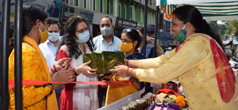 Krutika Kulhari provided the canopy to Him Ira Bazaar