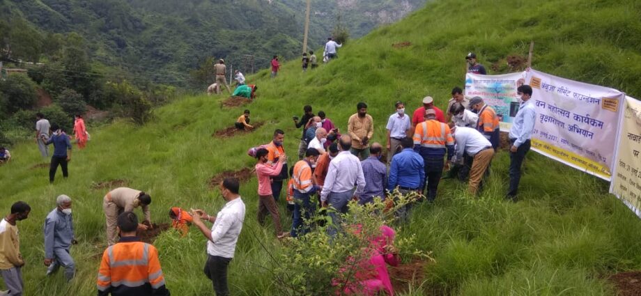 Pomegranate, Guava, Beul and Kachnar saplings planted