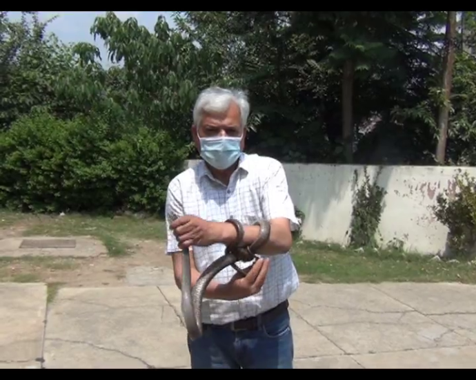 Poisonous snake entered the superintendent engineer's house, Virendra Sood controlled