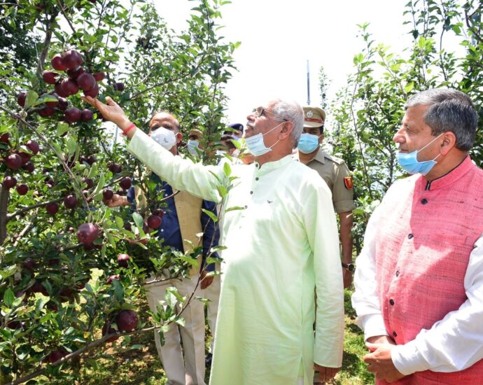 Governor stresses on research of high yielding and disease resistant apple varieties