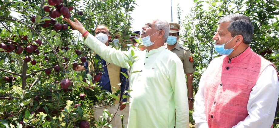 Governor stresses on research of high yielding and disease resistant apple varieties