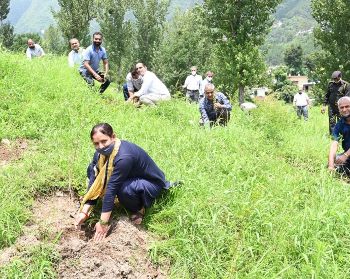 Training Camp on Commercial Flower Production