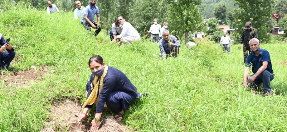 Training Camp on Commercial Flower Production