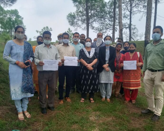Plantation program organized in Mandodhar
