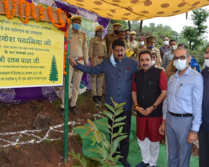 Plantation will be done on 14 thousand hectares of land in the state this year - Rakesh Pathania
