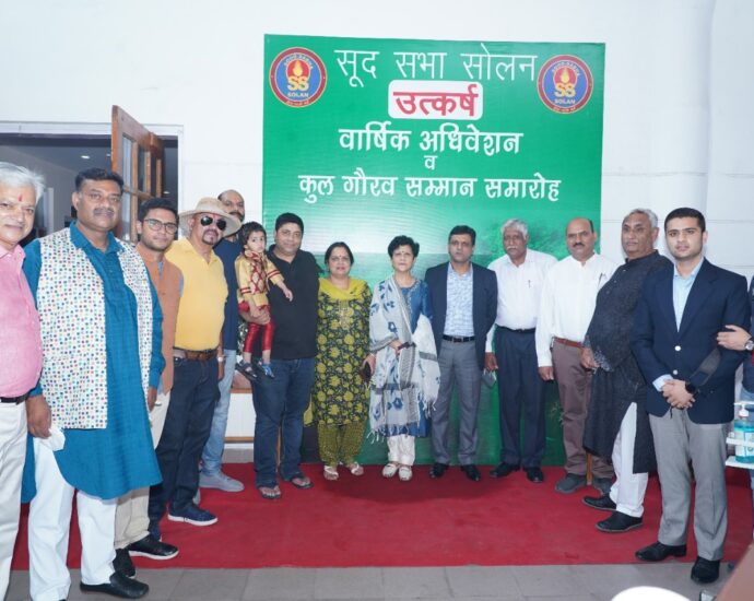Plants of oregano, lemongrass and stevia are distributed.