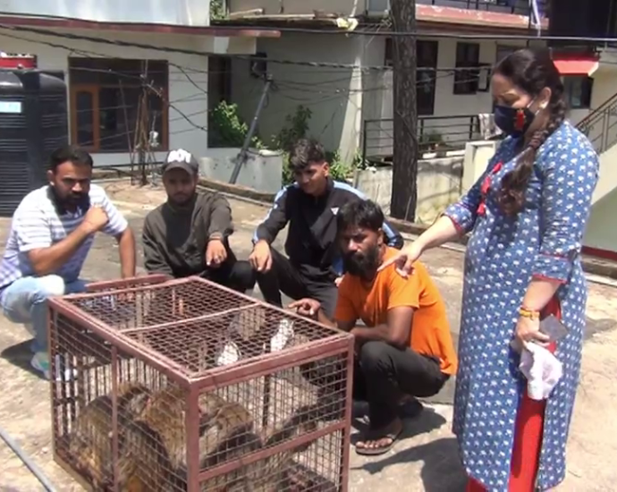 Jaipur team reached to catch monkey in Solan