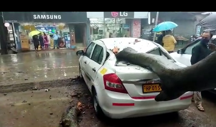 Rain continues: Landslide occurred on Waknaghat-Subathu road, tree fell on taxi parked at taxi stand in Solan