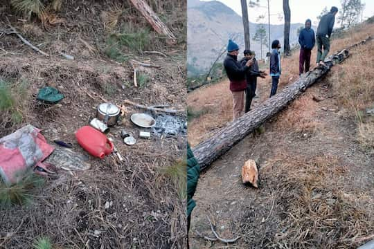 Mother was feeding her son by sitting in her lap, the tree fell from above, both died