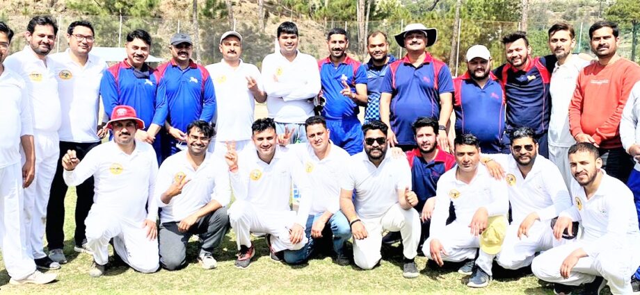 DC XI beat Press Club Solan by 6 wickets