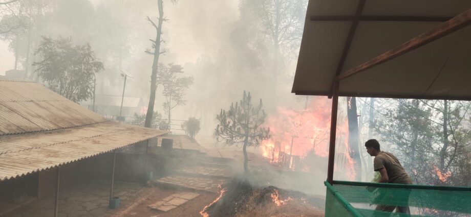 Trying to extinguish the uncontrollable fire in the forests of Kasauli with the help of helicopter