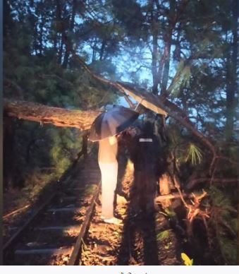 Tree fell on moving train near Sanwara on Kalka-Shimla railway line